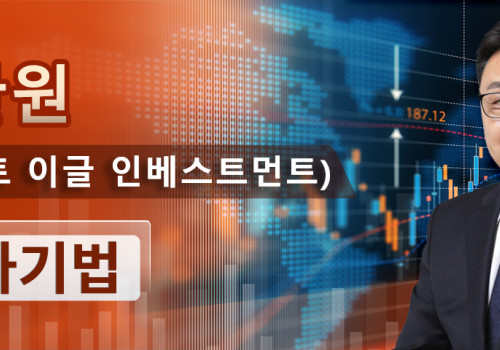 FEI자산관리그룹 / FEIKRX CEO 송한원 (퍼스트 이글 인베스트먼트) : 투자기법